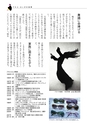 アコレおおみやNo.15 電子ブックピックアップ版