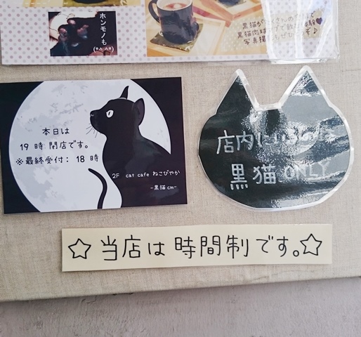 姫路　黒猫カフェ　cat cafe ねこびやか