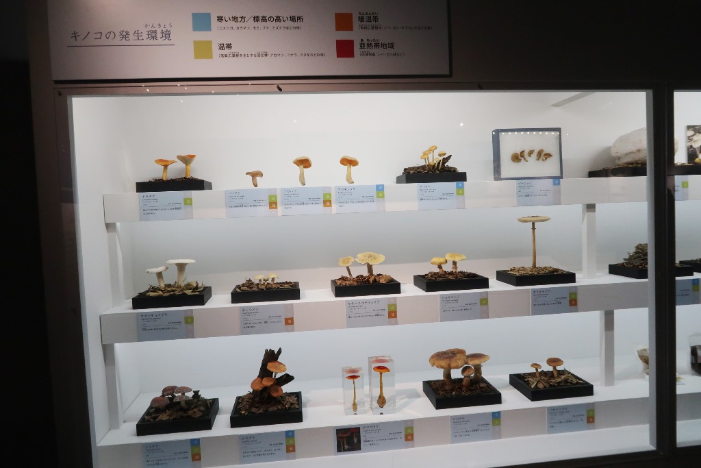 和食 日本の自然、人々の知恵 国立科学博物館