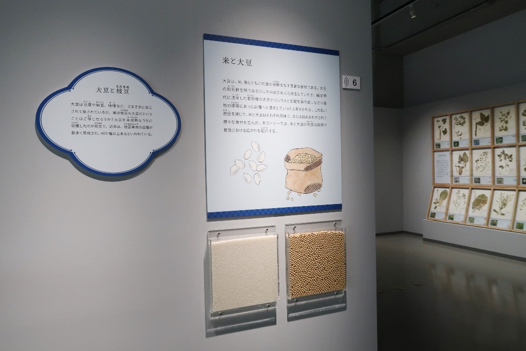 和食 日本の自然、人々の知恵 国立科学博物館