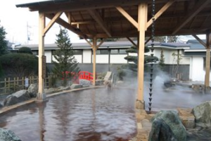 見沼　天然　温泉 小春日和　